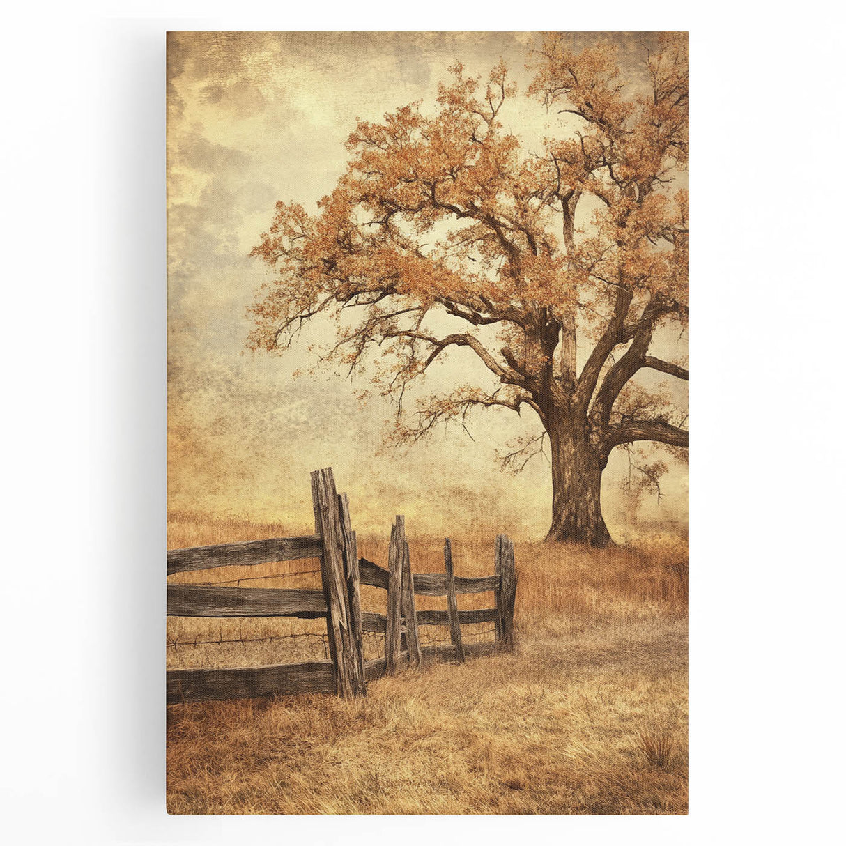Rustic Autumn Tree - Fine Art Photography Framed Prints