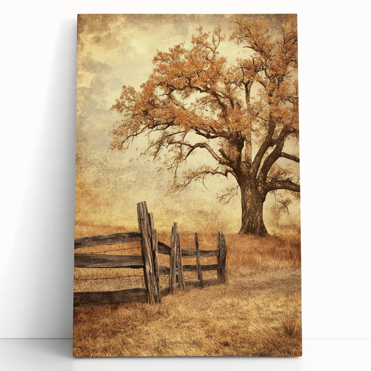 Rustic Autumn Tree - Fine Art Photography Framed Prints