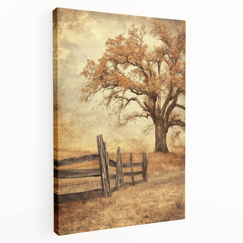 Rustic Autumn Tree - Fine Art Photography Framed Prints