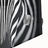 High Contrast Abstract Paintings – Zebra-Inspired Monochrome Art