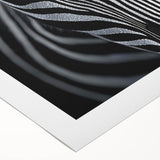 High Contrast Abstract Paintings – Zebra-Inspired Monochrome Art
