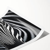 High Contrast Abstract Paintings – Zebra-Inspired Monochrome Art