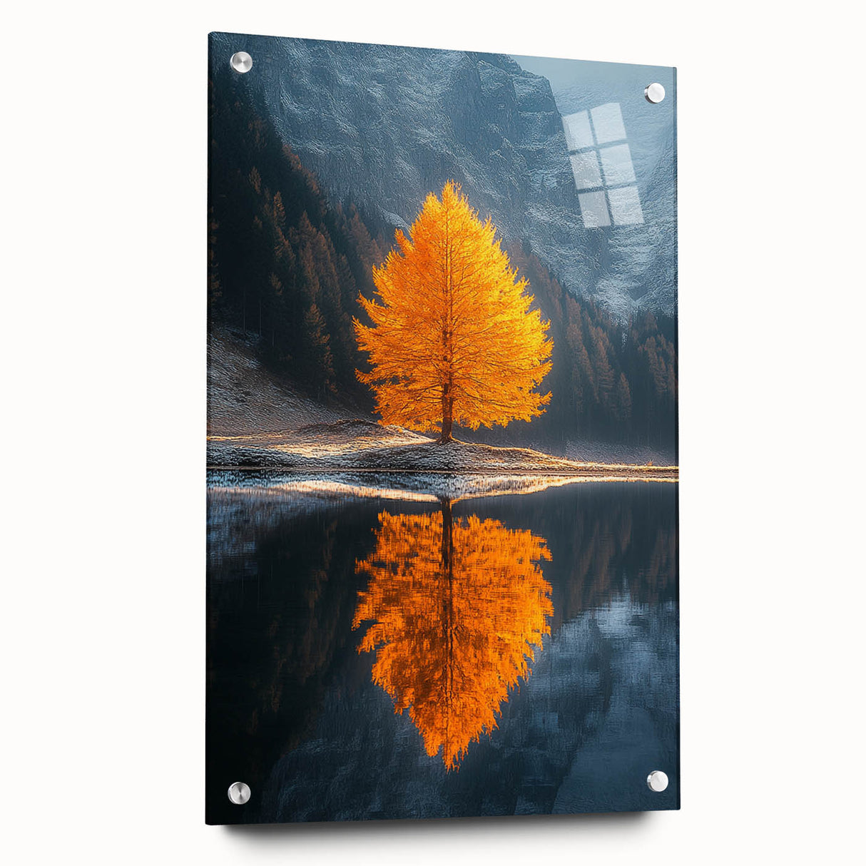 Golden Tree Reflection – Majestic Nature Landscape Art Print