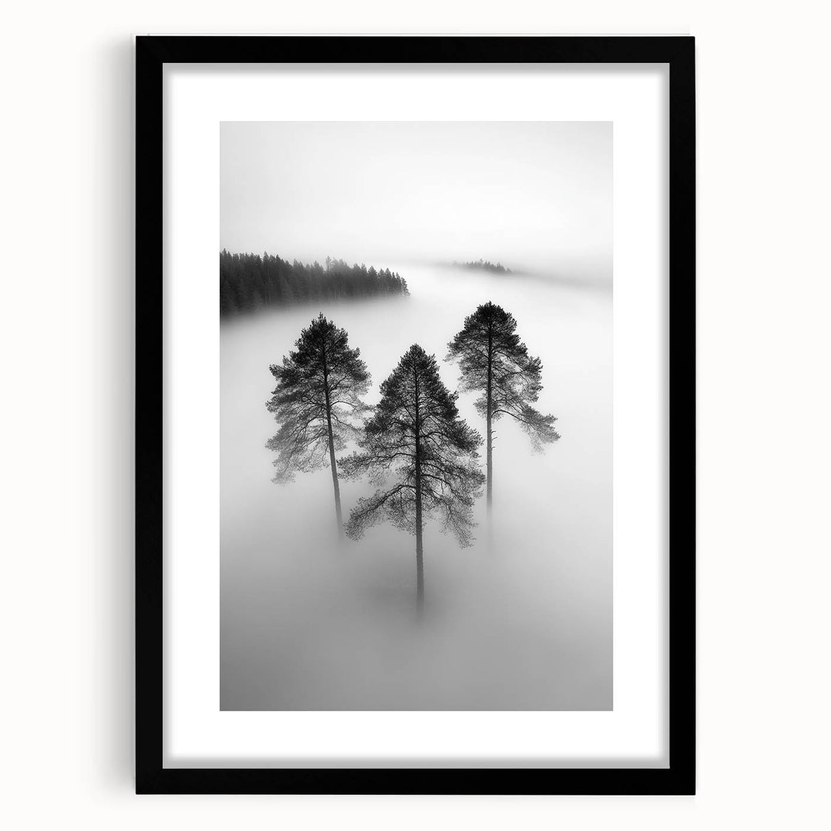 Misty Forest Trio - Fine Art Photography Framed Prints