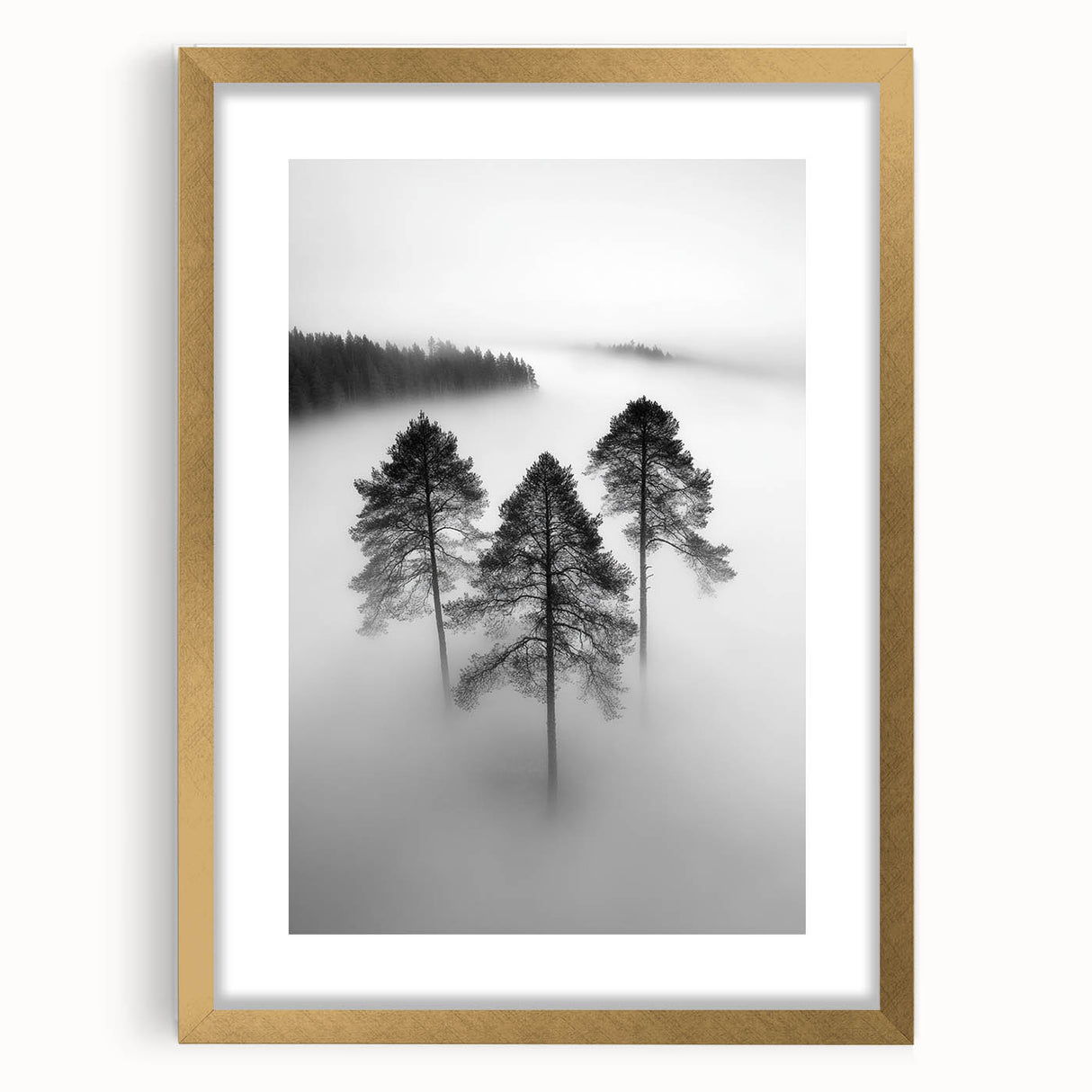 Misty Forest Trio - Fine Art Photography Framed Prints