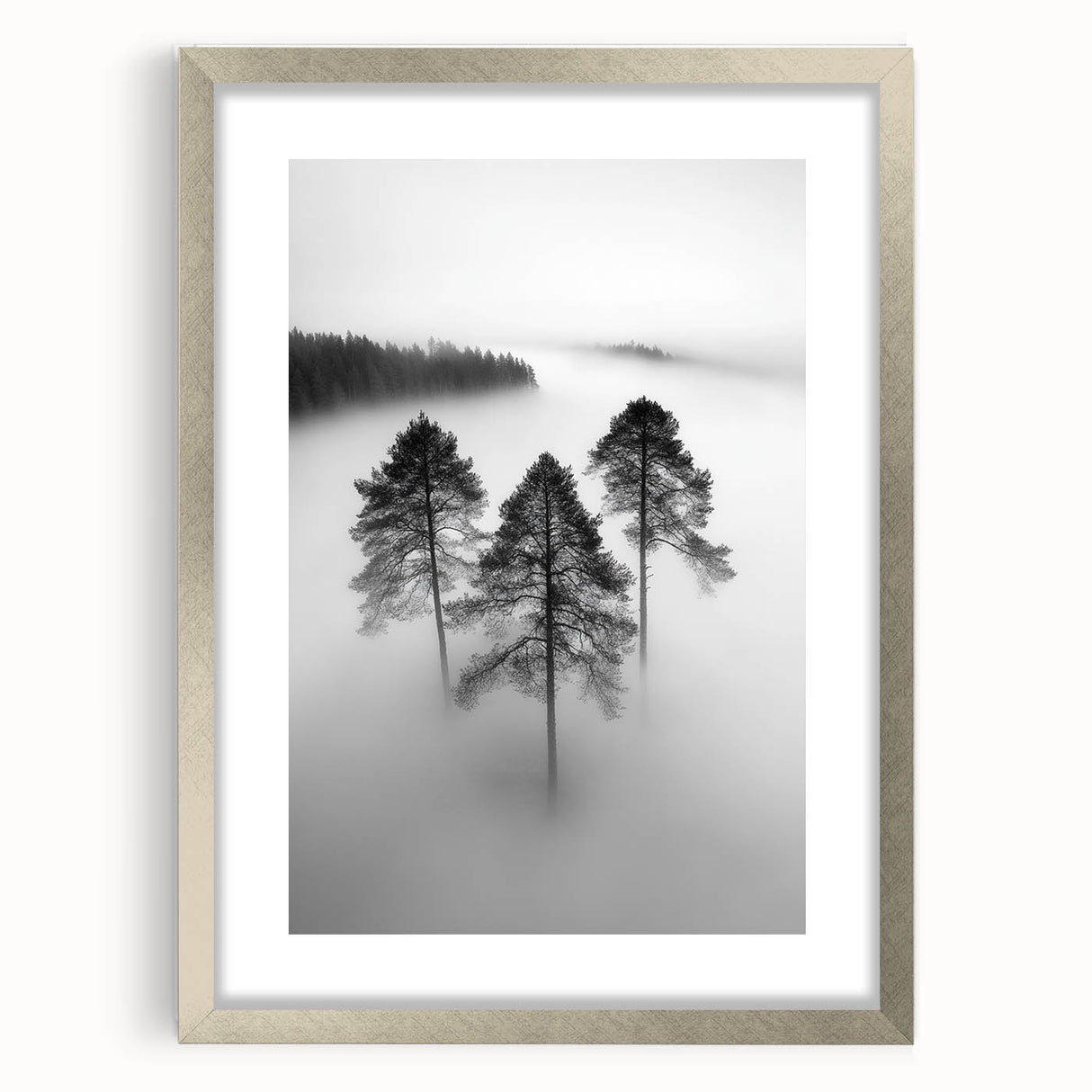 Misty Forest Trio - Fine Art Photography Framed Prints