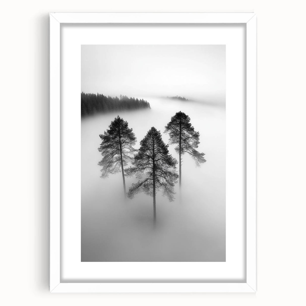 Misty Forest Trio - Fine Art Photography Framed Prints