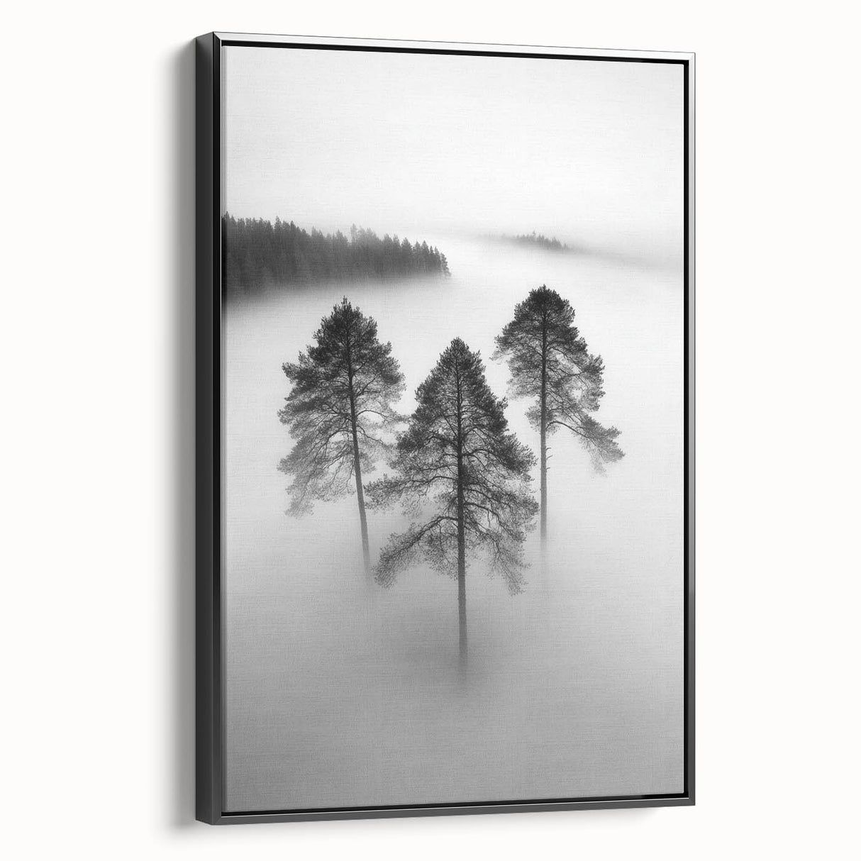 Misty Forest Trio - Fine Art Photography Framed Prints