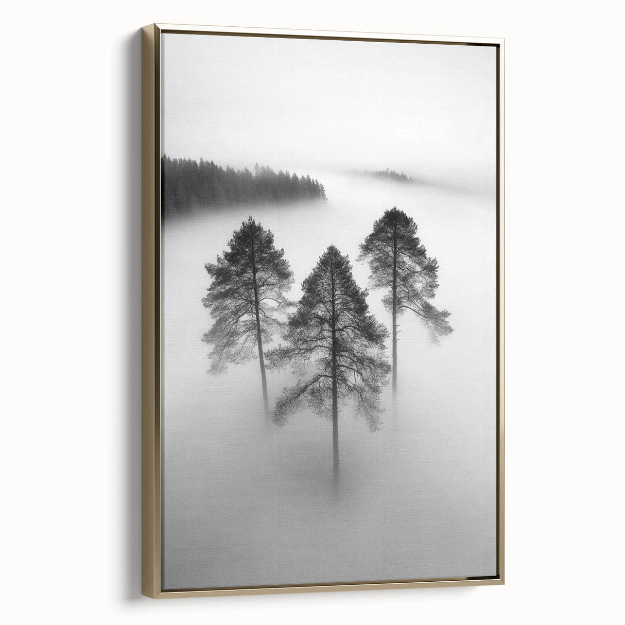 Misty Forest Trio - Fine Art Photography Framed Prints
