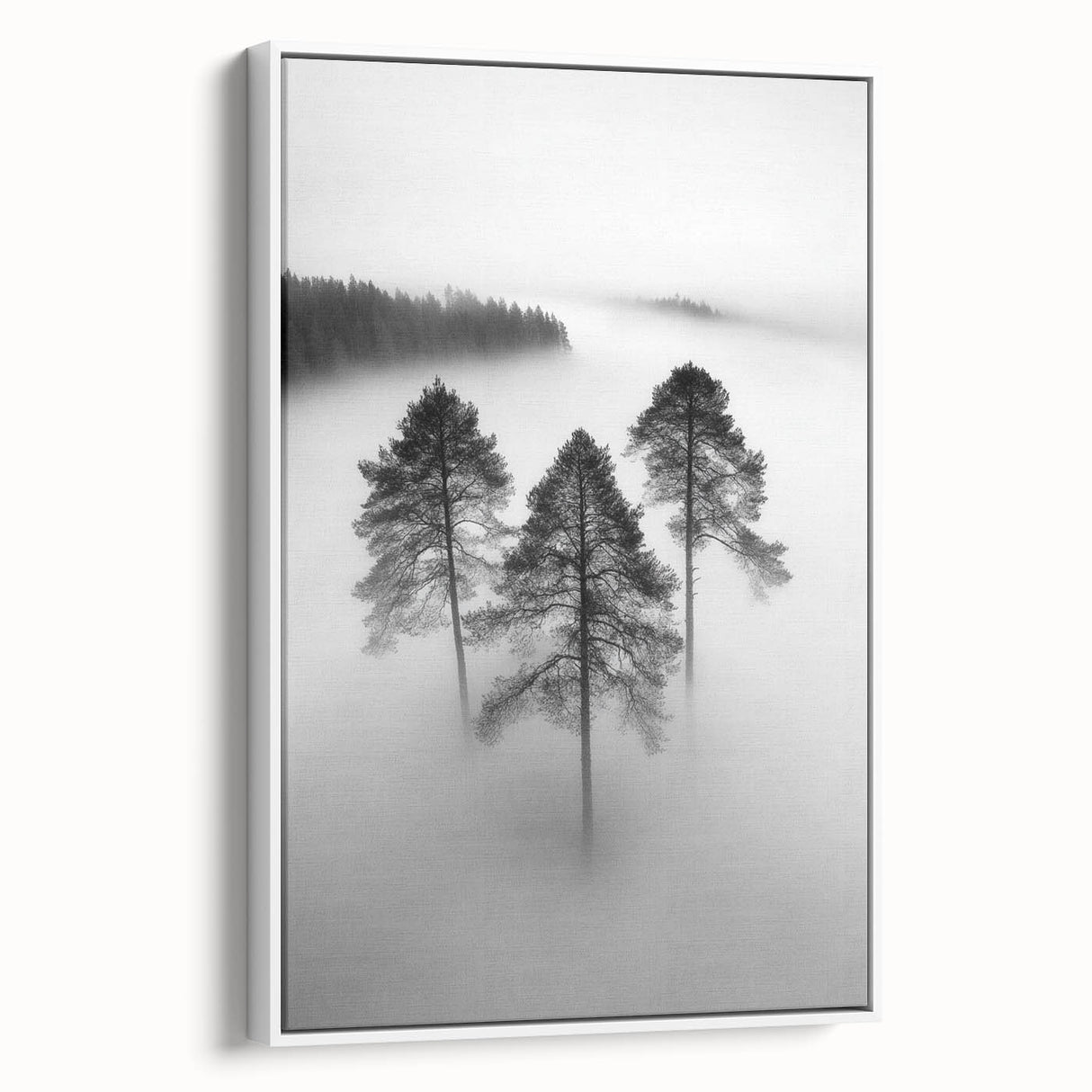 Misty Forest Trio - Fine Art Photography Framed Prints