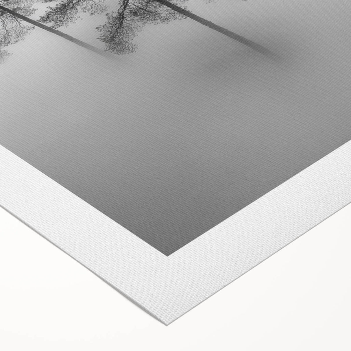 Misty Forest Trio - Fine Art Photography Framed Prints