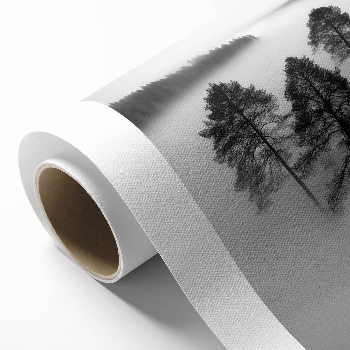 Misty Forest Trio - Fine Art Photography Framed Prints