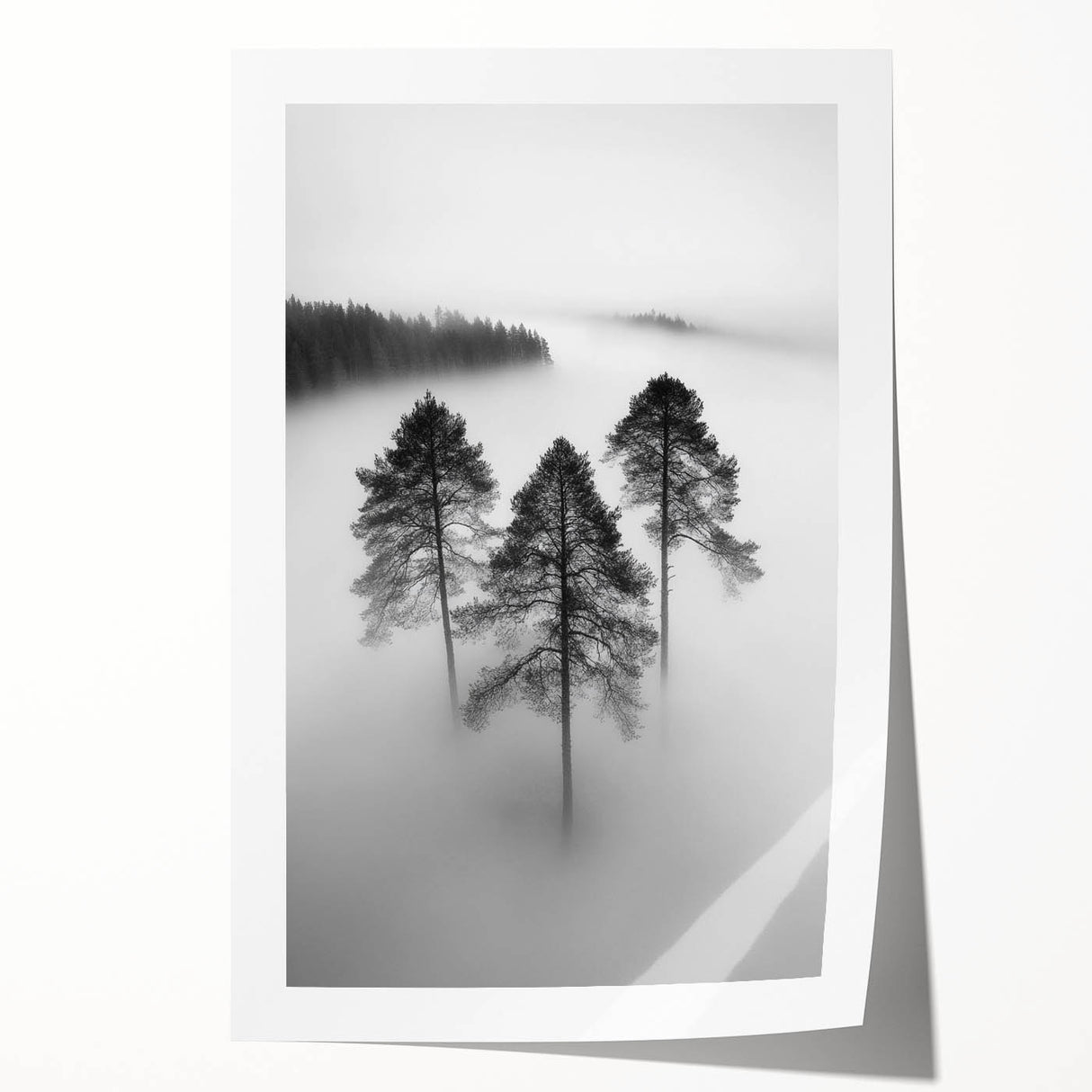 Misty Forest Trio - Fine Art Photography Framed Prints