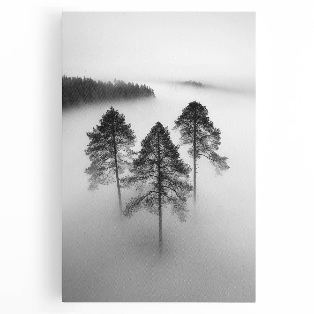 Misty Forest Trio - Fine Art Photography Framed Prints