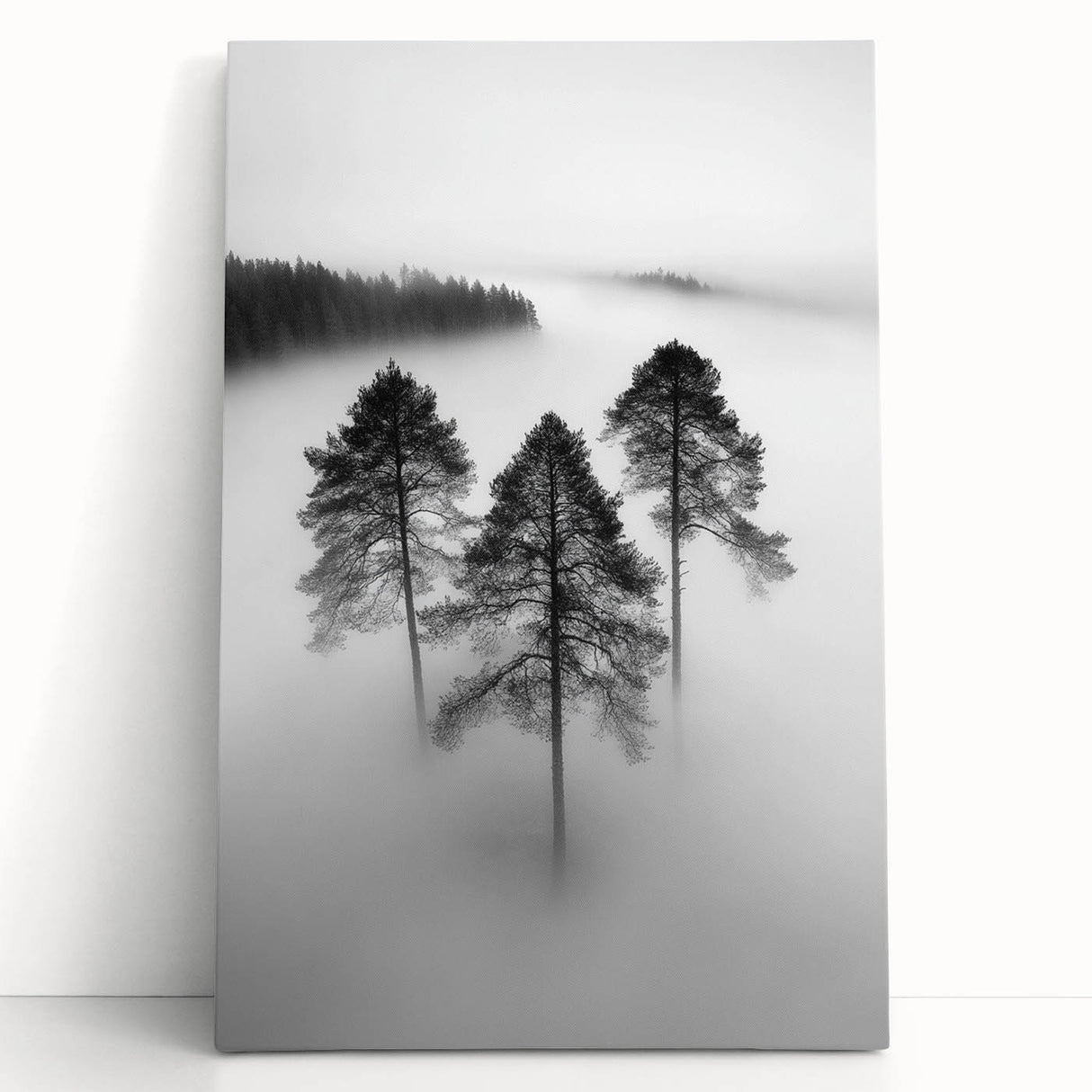 Misty Forest Trio - Fine Art Photography Framed Prints