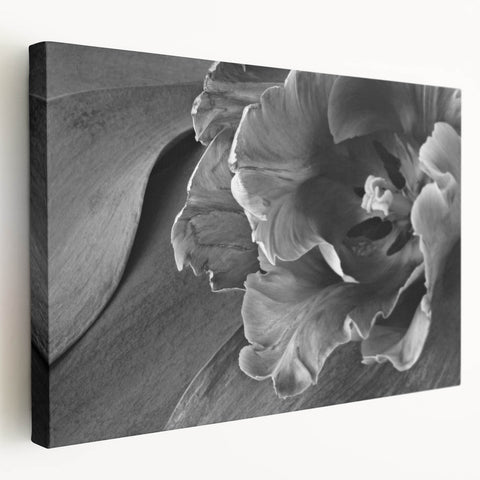 Monochrome Tulip Bloom - Fine Art Photography Framed Prints