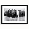 Misty Wooden Posts - Fine Art Photography Canvas Prints