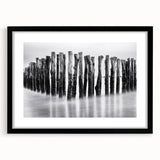 Misty Wooden Posts - Fine Art Photography Canvas Prints