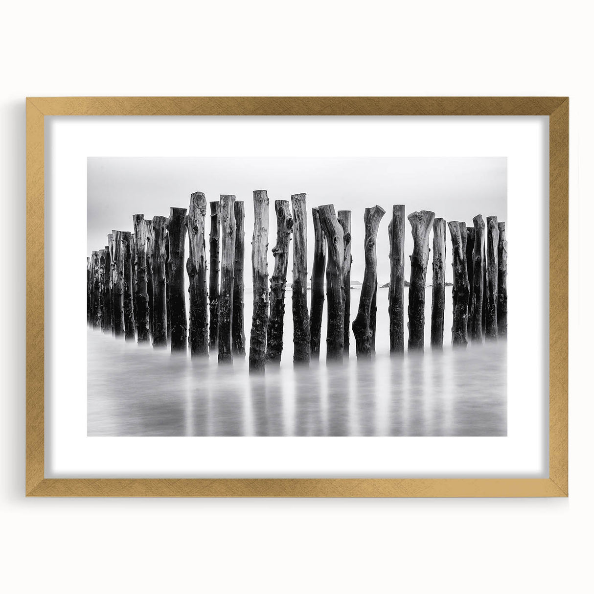 Misty Wooden Posts - Fine Art Photography Canvas Prints