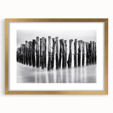 Misty Wooden Posts - Fine Art Photography Canvas Prints