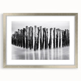 Misty Wooden Posts - Fine Art Photography Canvas Prints