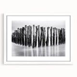 Misty Wooden Posts - Fine Art Photography Canvas Prints