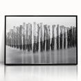 Misty Wooden Posts - Fine Art Photography Canvas Prints