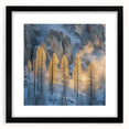 Golden Trees in Snowy Mountains – Winter Nature Art Print