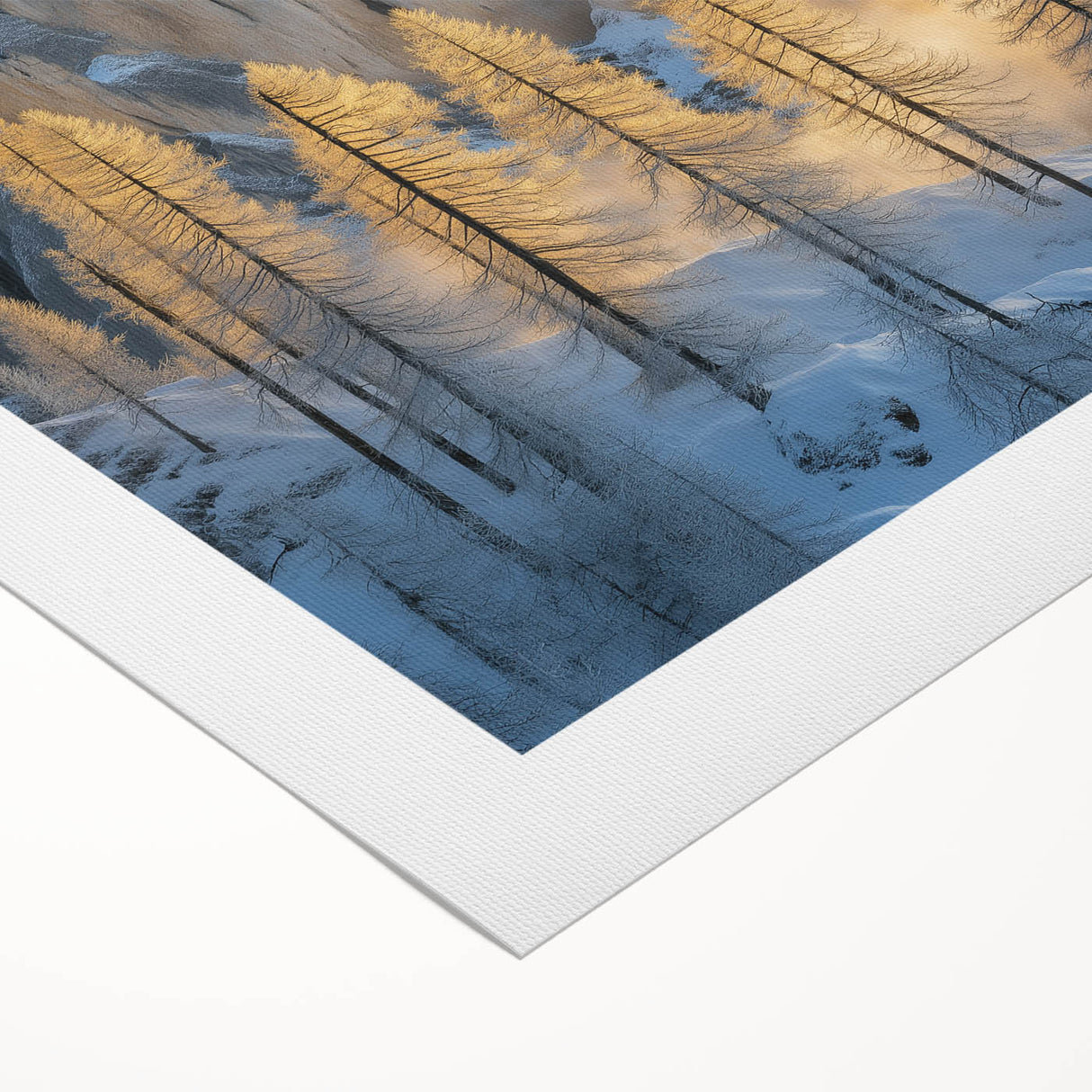 Golden Trees in Snowy Mountains – Winter Nature Art Print