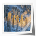 Golden Trees in Snowy Mountains – Winter Nature Art Print