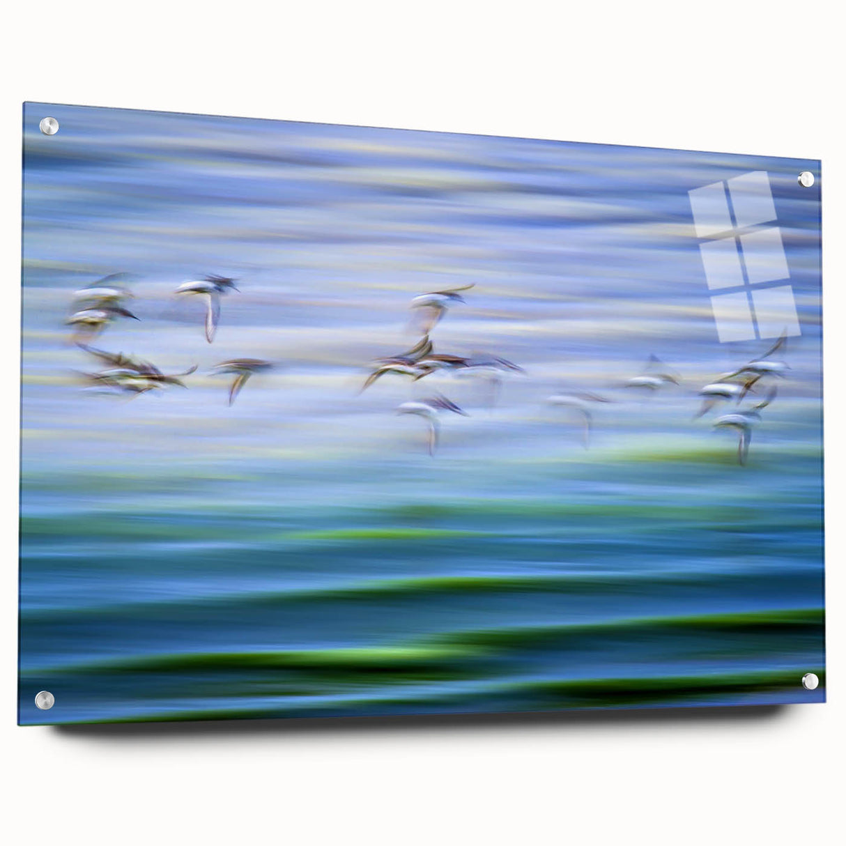 Flight Over Water - Fine Art Photography Canvas Prints