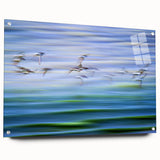 Flight Over Water - Fine Art Photography Canvas Prints