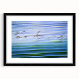 Flight Over Water - Fine Art Photography Canvas Prints
