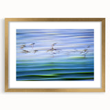 Flight Over Water - Fine Art Photography Canvas Prints