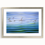 Flight Over Water - Fine Art Photography Canvas Prints