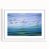 Flight Over Water - Fine Art Photography Canvas Prints