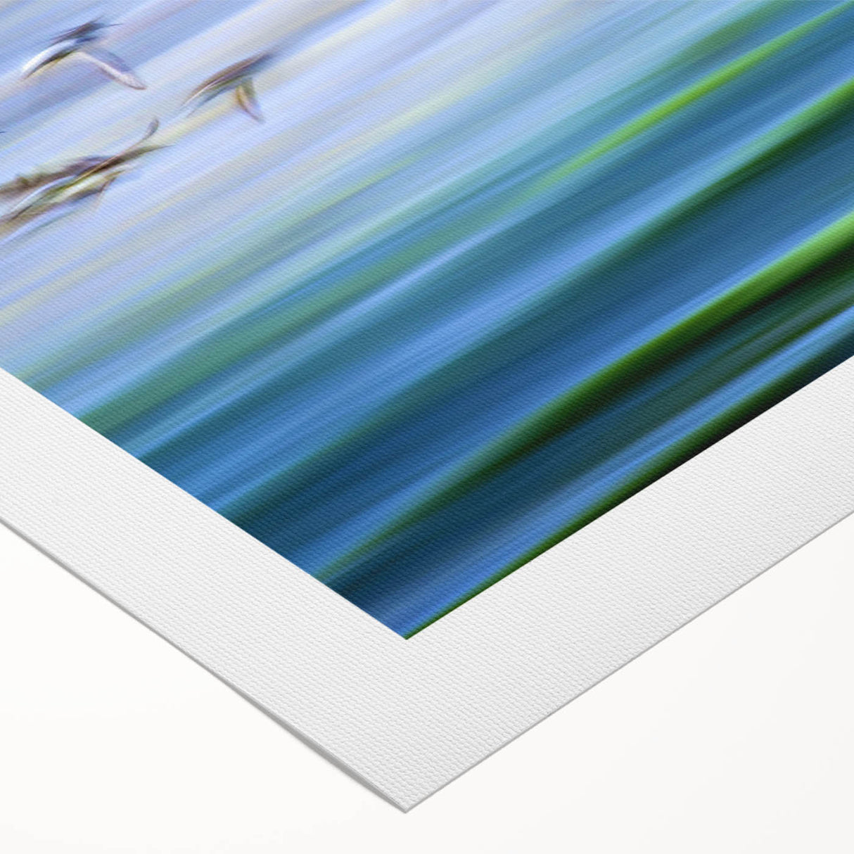 Flight Over Water - Fine Art Photography Canvas Prints