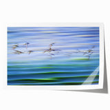 Flight Over Water - Fine Art Photography Canvas Prints