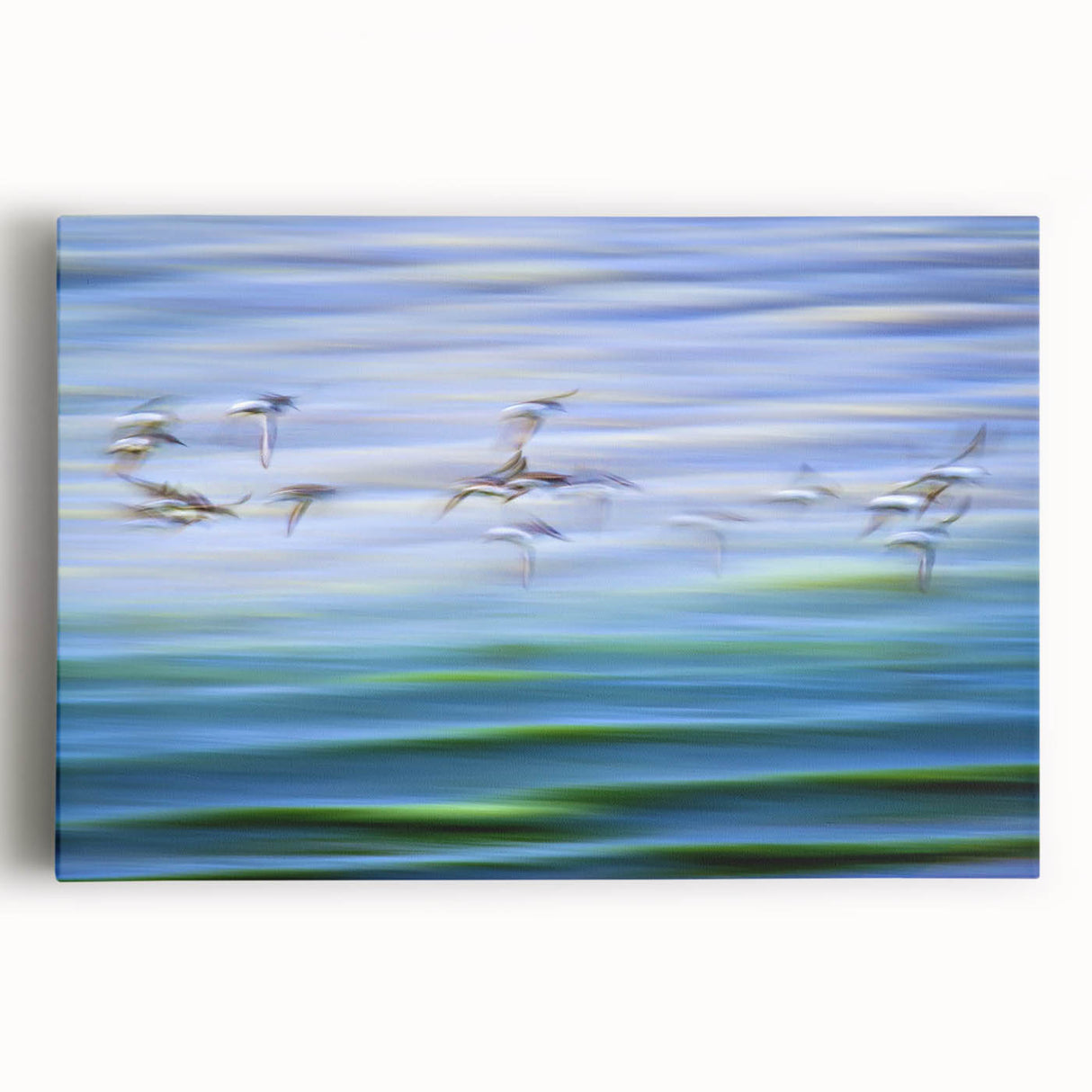 Flight Over Water - Fine Art Photography Canvas Prints