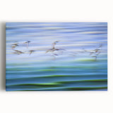 Flight Over Water - Fine Art Photography Canvas Prints