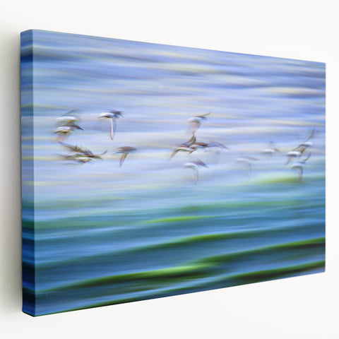 Flight Over Water - Fine Art Photography Canvas Prints