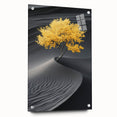 Golden Tree in Black Desert – Tree Art Prints & Nature Wall Art