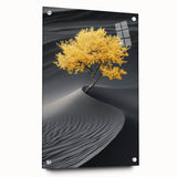 Golden Tree in Black Desert – Tree Art Prints & Nature Wall Art