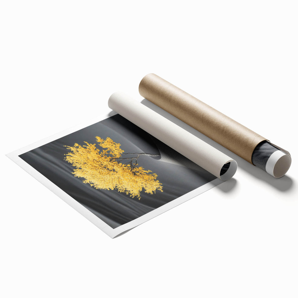Golden Tree in Black Desert – Tree Art Prints & Nature Wall Art