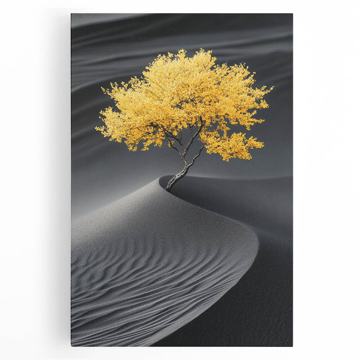 Golden Tree in Black Desert – Tree Art Prints & Nature Wall Art