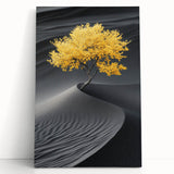 Golden Tree in Black Desert – Tree Art Prints & Nature Wall Art