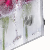 Frozen Roses Elegance - Fine Art Photography Acrylic Prints