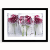 Frozen Roses Elegance - Fine Art Photography Acrylic Prints