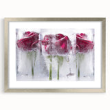 Frozen Roses Elegance - Fine Art Photography Acrylic Prints