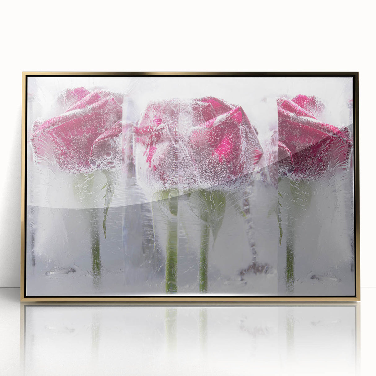Frozen Roses Elegance - Fine Art Photography Acrylic Prints